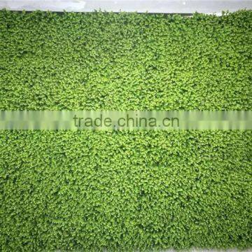 recycling material long life green grass wall for indoor and outdoor decor