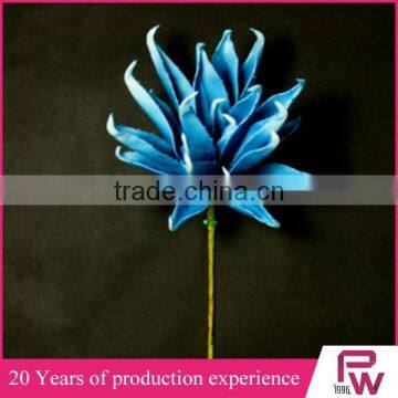 Wholesale Large Indoor Tropical Plants