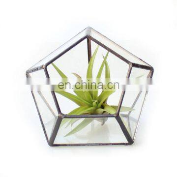 Terrarium Geometric Glass Terrarium Wholesale photo-3