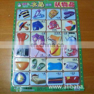 full color printing embossed image educational plastic poster