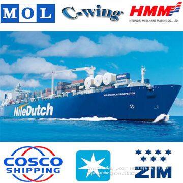 Professional Freight Forwarding Sea Cargo Shipping Freight Rate Amazon FBA to USA / UK / Australia