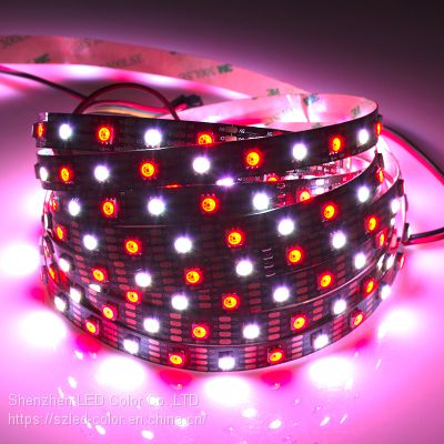 60leds/m DC5V LED Strip WS2813 10mm pcb digital RGB full color LED Strip LC8813