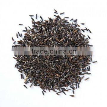 Niger Seeds photo-4