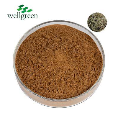 Wellgreen Factory Natural High Quality White Willow Bark Extract 15% Salicin