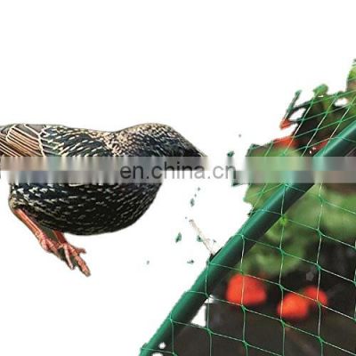 customized vineyard orchard cherry blueberries plant fruit support prodection net agriculture anti bird mesh net