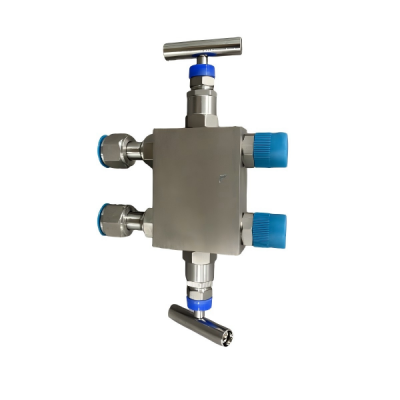 Customized 1/2NPT(M)-1/2NPT(F) High Temperature Resistance transmitter valve  Stainless Steel Pressure Gauge Two-Valve manifold 316SS