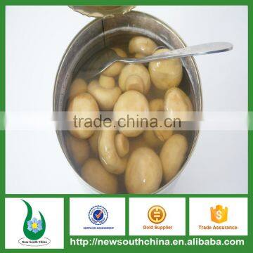 Health Food Canned Mushroom Manufacturing Companies in Abu Dhabi photo-2