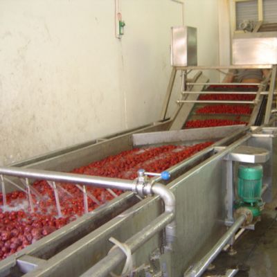 Strawberry Cleaning Machine Strawberry Cleaning Machine Production Line