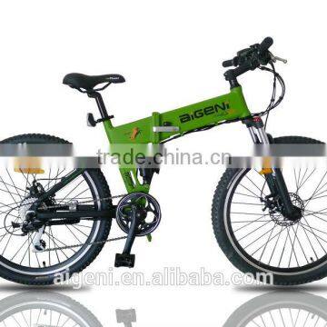 250W Electric Mountain Bike with Hidden Battery