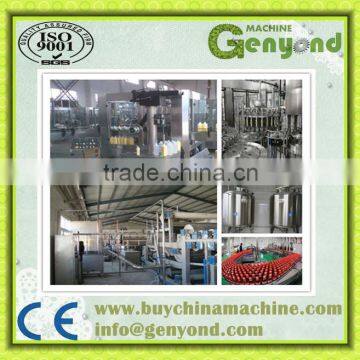 Professional automatic fresh fruit juice production line (Turkey Project) with factory price