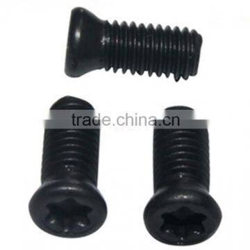 China manufacturer fasteners star drive torx hilt screw