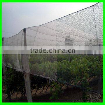 Grape Hail Protection Net/resist Hail Mesh/woven Anti Hail Net photo-2