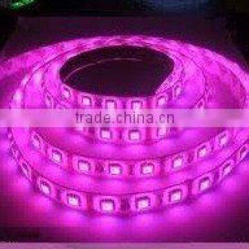 12V non-Waterproof LED SMD5050 flex Strip light