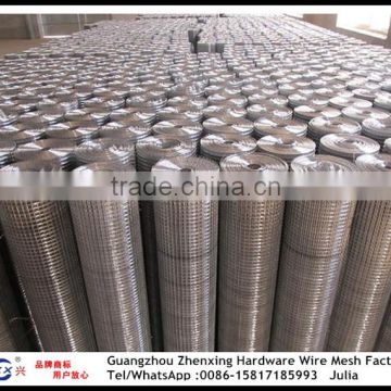 Wholesale galvanized welded wire mesh Factory & wholesale ZX-DHW01