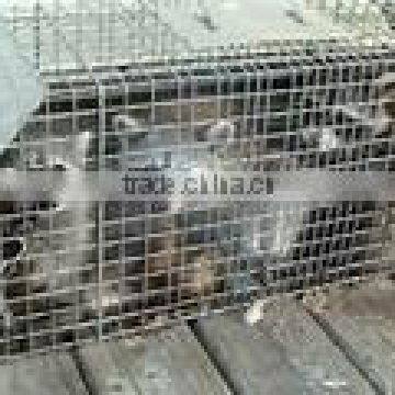 Stainless Steel Security Cage
