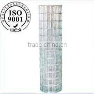 ISO 9000 hot-dipped galvanized welded wire mesh(direct factory)