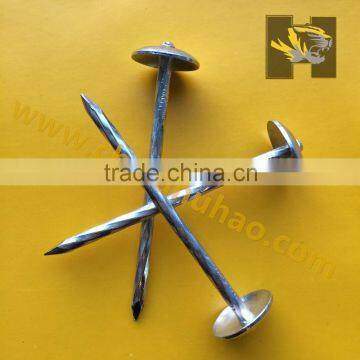 Galvanized roofing nai /roofing nail with umbrella head china huhao