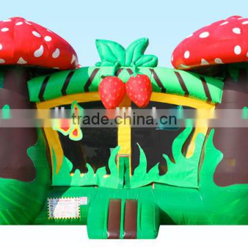 Inflatable Strawberry Jumper