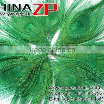 Leading Supplier CHINAZP Wholesale High Quality Dyed Green Trimmed Short Peacock Feathers for Earrings photo-4