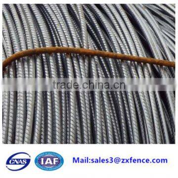 Cold Rolled Ribbed Steel Bar,deformed Bar, Reinforced Bar,hot Sale , Cheapest and Factory Direct photo-4