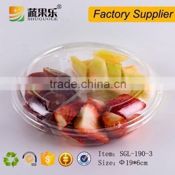 Disposable Take Away Plastic Salad Bowl Food Container for Picnic