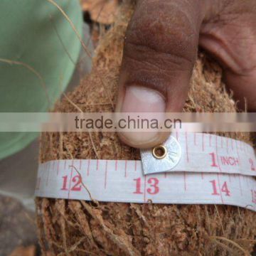 fresh coconuts for sale- Export