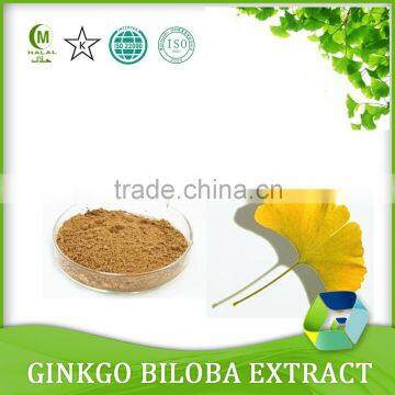 Ginkgo Biloba Extract/Ginkgo Biloba Seed/Ginkgo Biloba leaves