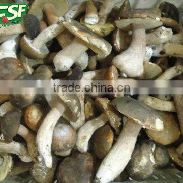 2016 new corp IQF Boletus edulis
