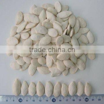 Popular Products Chinese Pumpkin Seeds Distribution