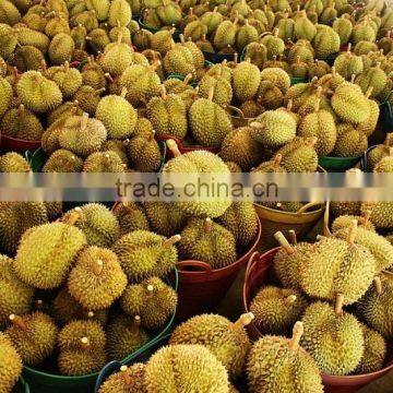Frozen Durian , Durian Meat , Durian Frozen 100% Natural From Thailand photo-2