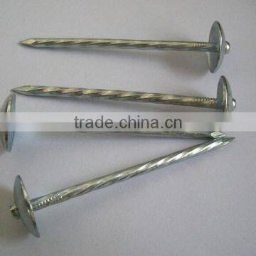 COMMON IRON NAILS FROM CHINA photo-2