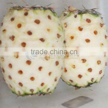 Automatic Electric Pineapple Skin Peeling Processing Machine photo-6