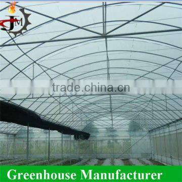 China Factory Direct Sale Multi-span uv Poly Greenhouse photo-5