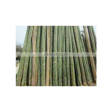 Using Effectively With Bamboo Pole for Garden photo-3