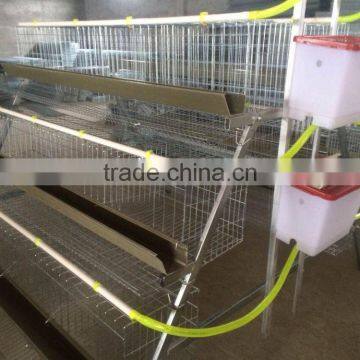 A type chicken layer cage chicken battery cage for 120 chicken egg layer laying chickens