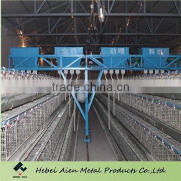 full automatic chicken feeding for chicken breeding