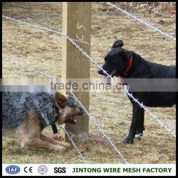 galvanized steel coiled barbed wire barbed wire for protect barbed iron wire