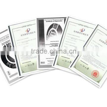 Sino-Japanese Joint Venture High-tech for Sludge Dewatering Machine Sludge Dewatering Transfer Pump photo-6