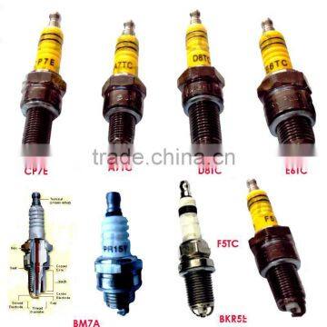 Spark Plug/All Kinds of Spark Plug for Motorcycle