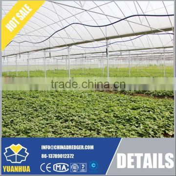 Economic and Practical Vegetable Greenhouse