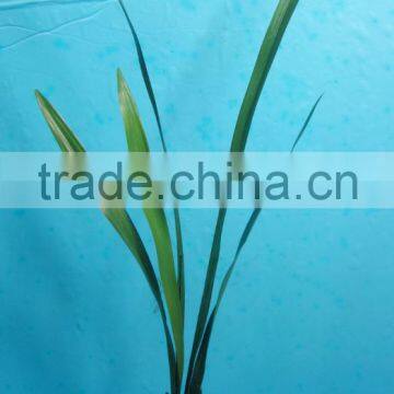 Artificial Plastic Grass/green Fake Grass/decorative Artificial Grass photo-2
