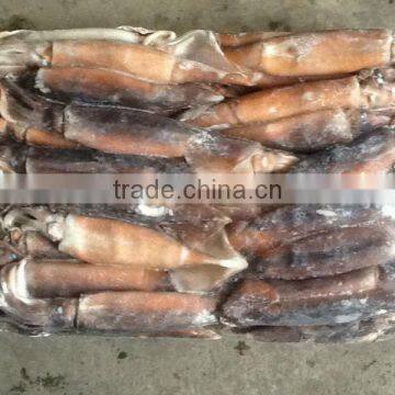 Frozen whole round illex squid sea frozen illex squid