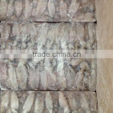 High Sale Seafood BQF Frozen Baby Squid photo-5
