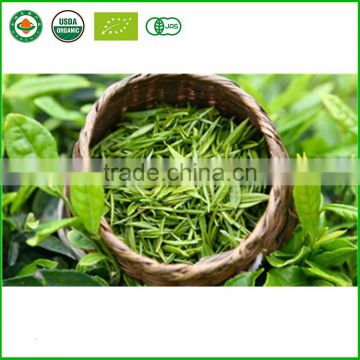 Chinese Hot Sale Best Green Tea Brand Organic Green Tea