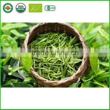Chinese Green Tea Price Sen Cha the Vert de Chine Green Tea Benefit Slimming Green Tea photo-3