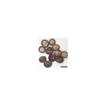 Canned Shiitake
