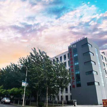 INTEGRATED PLAZA FOR GLOBAL LEASING AND SALE
