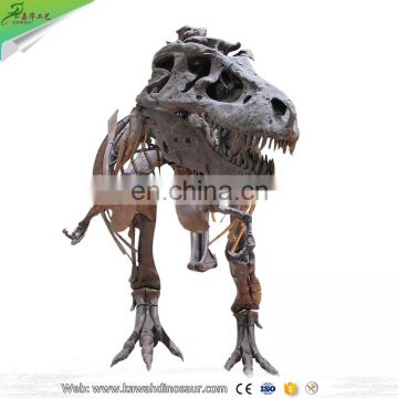 KAWAH Museum Animated Realistic 3D Fiberglass Dinosaur T-rex Fossil for Sale