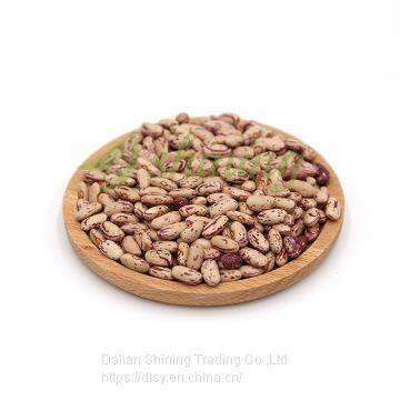 China Origin Sugar Beans On Sale