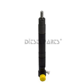 inyector delphi ssangyong actyon EMBR00301D